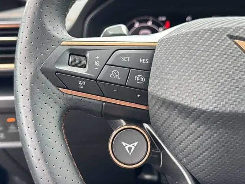 Cupra Formentor usata a Vicenza (19)