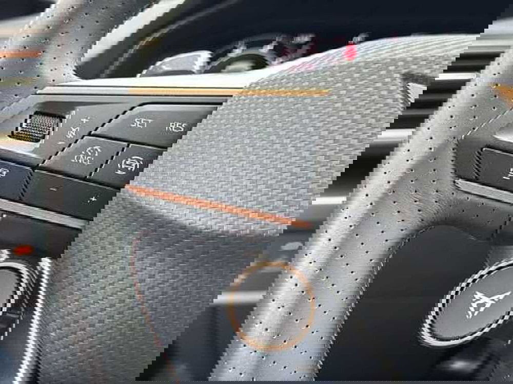 Cupra Formentor usata a Vicenza (19)