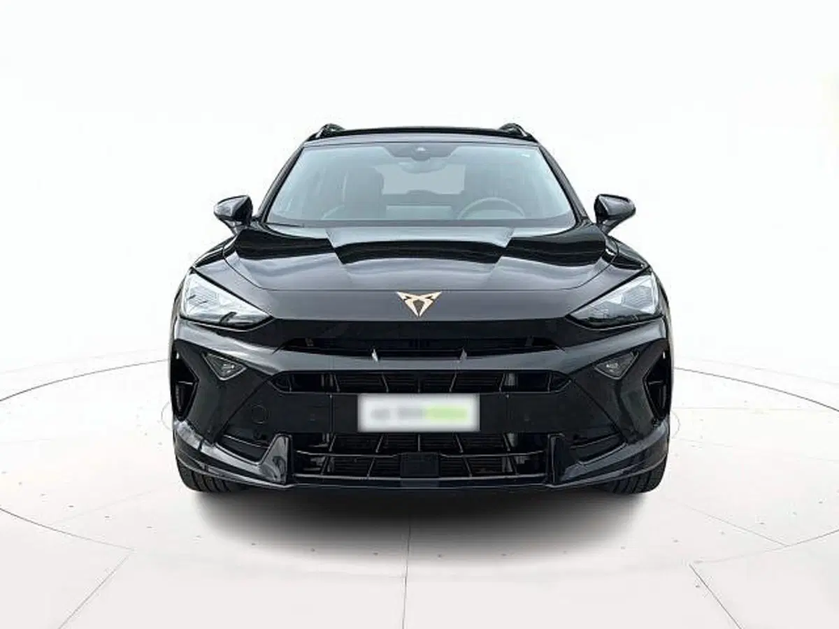 Cupra Formentor usata a Vicenza (2)