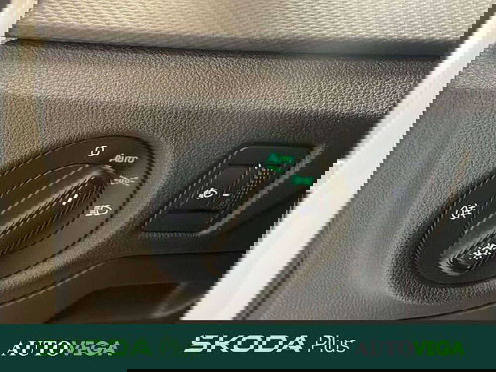 Skoda Kamiq usata a Vicenza (14)