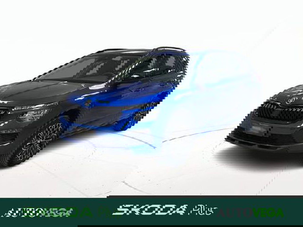 Skoda Kamiq usata a Vicenza