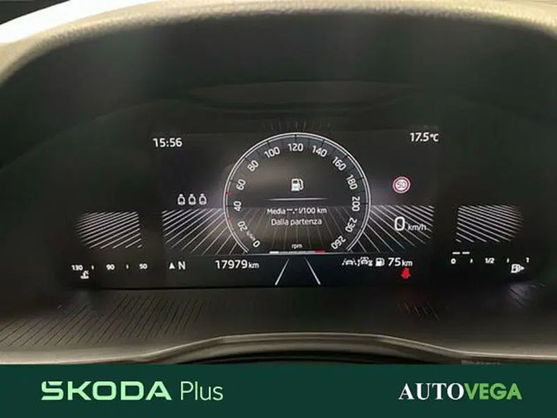 Skoda Kamiq usata a Vicenza (13)