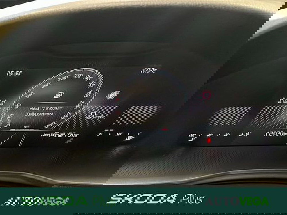 Skoda Kamiq usata a Vicenza (13)