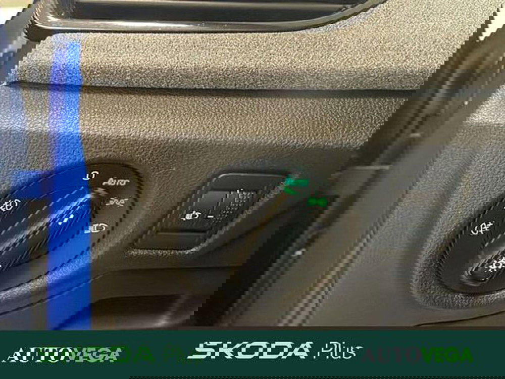 Skoda Kamiq usata a Vicenza (15)