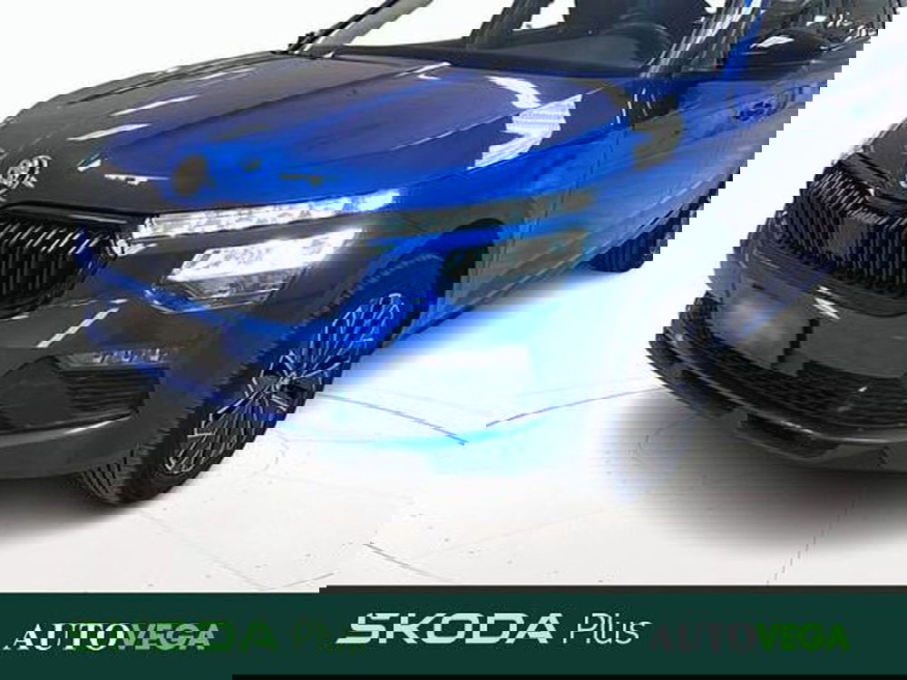 Skoda Kamiq usata a Vicenza (19)