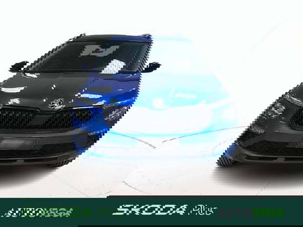 Skoda Kamiq usata a Vicenza (2)