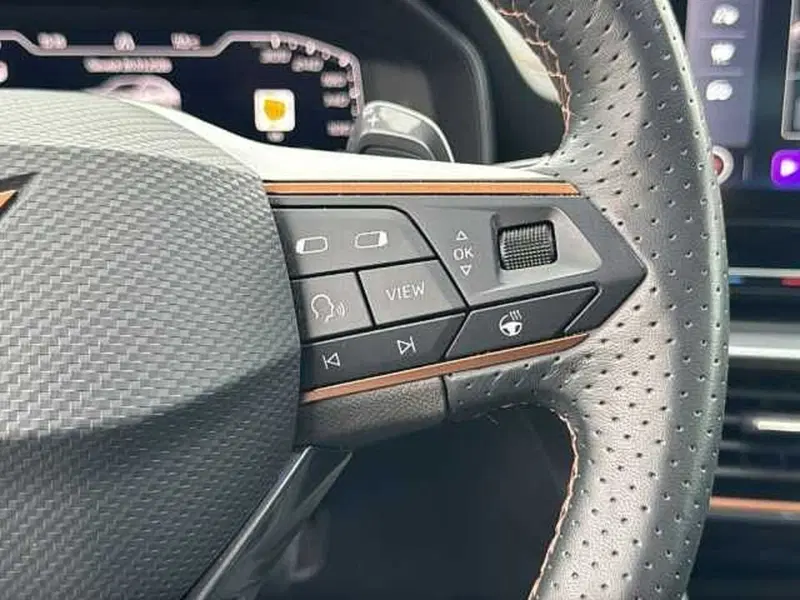 Cupra Formentor usata a Vicenza (19)
