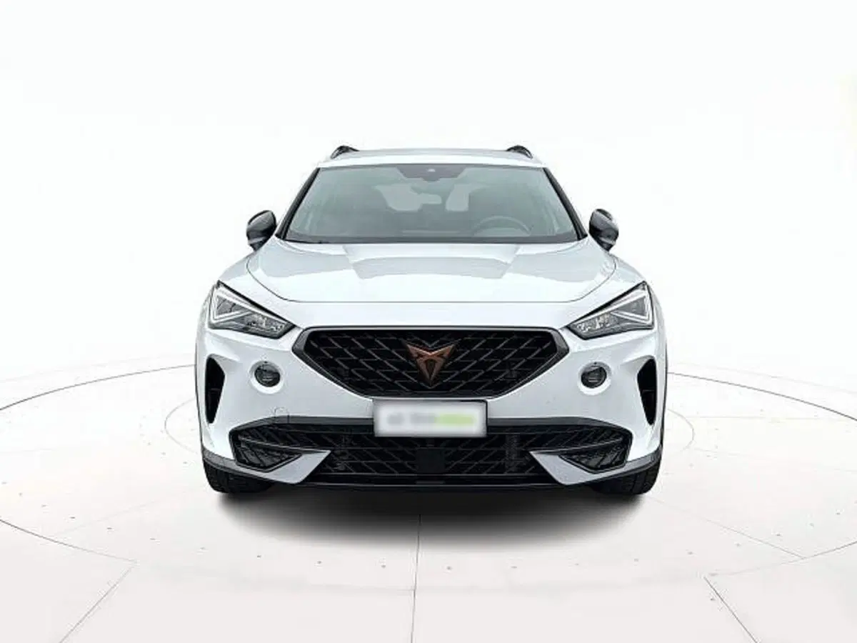 Cupra Formentor usata a Vicenza (2)