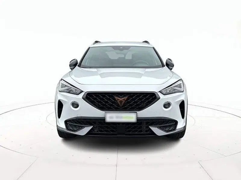 Cupra Formentor usata a Vicenza (2)