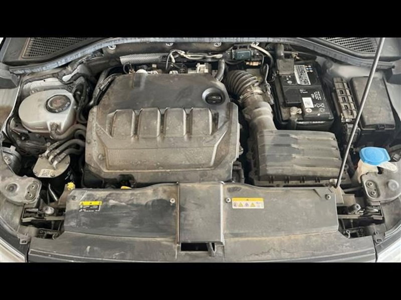 Volkswagen T-Roc usata a Firenze (13)