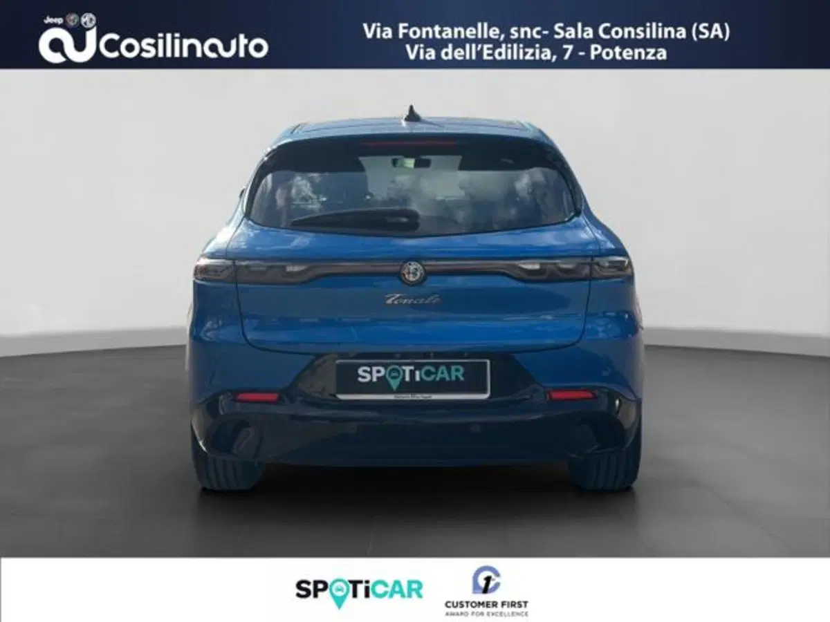 Alfa Romeo Tonale usata a Salerno (4)