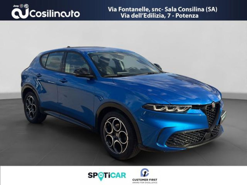 Alfa Romeo Tonale usata a Salerno (7)
