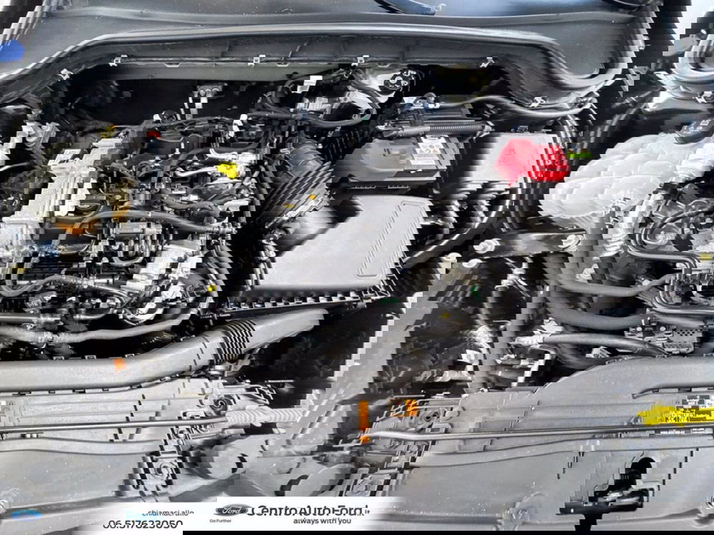 Ford Focus usata a Roma (12)