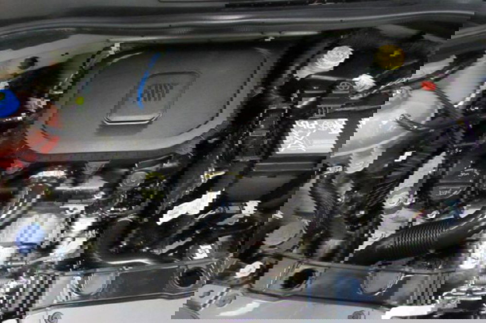 Fiat Panda usata a Milano (18)