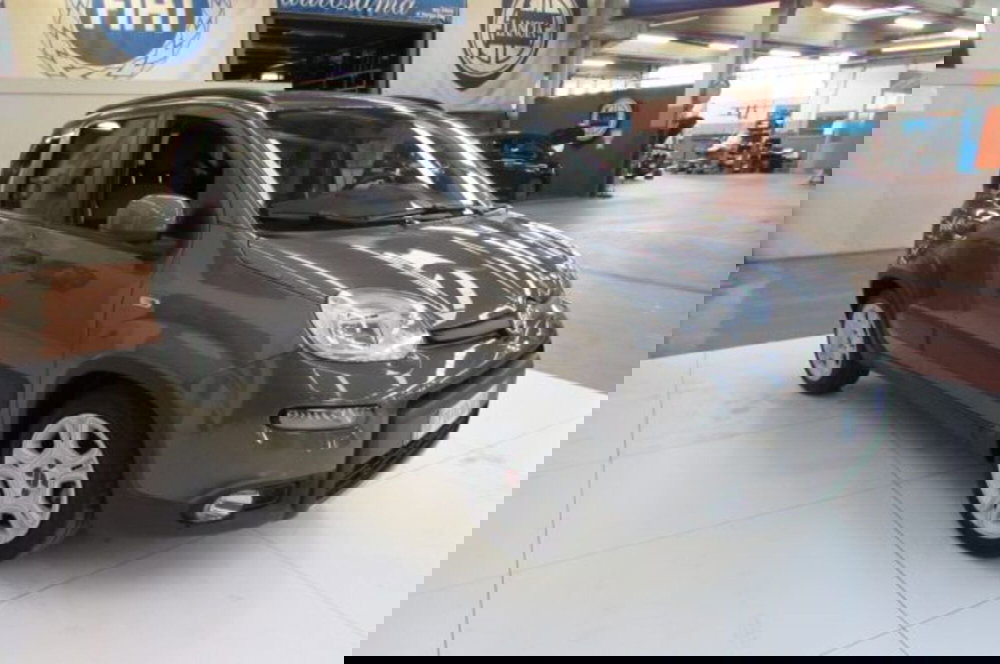 Fiat Panda usata a Milano (2)