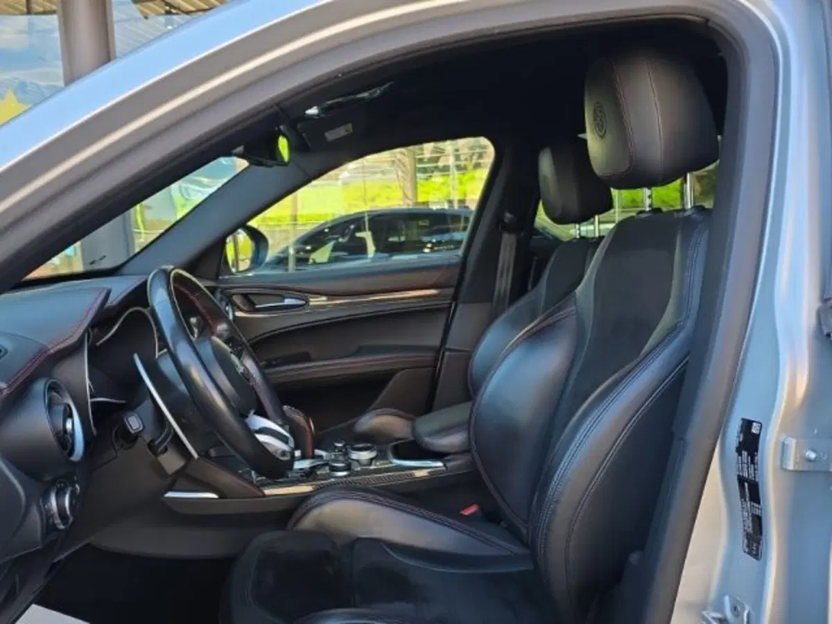 Alfa Romeo Stelvio usata a Monza e Brianza (11)