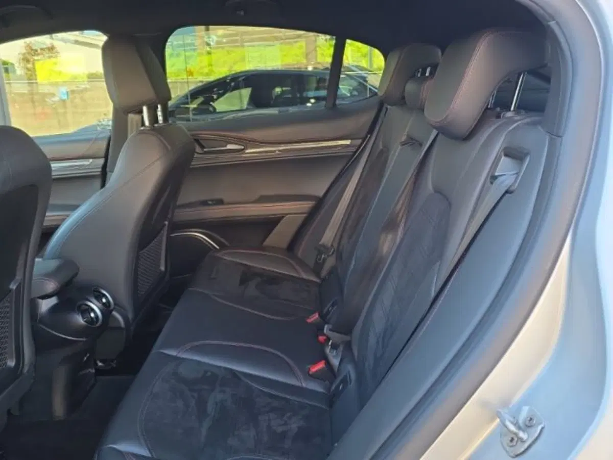 Alfa Romeo Stelvio usata a Monza e Brianza (12)