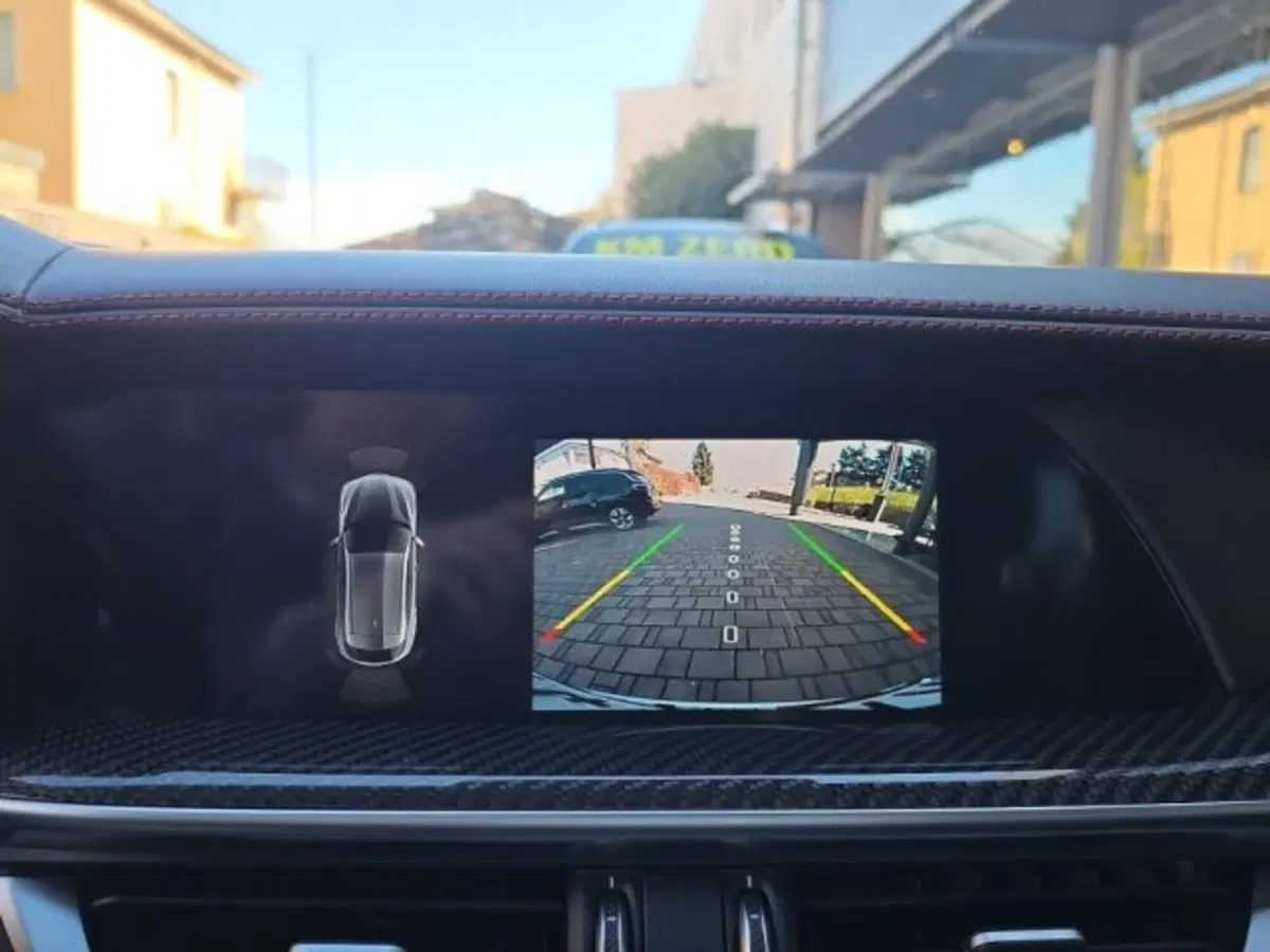 Alfa Romeo Stelvio usata a Monza e Brianza (17)