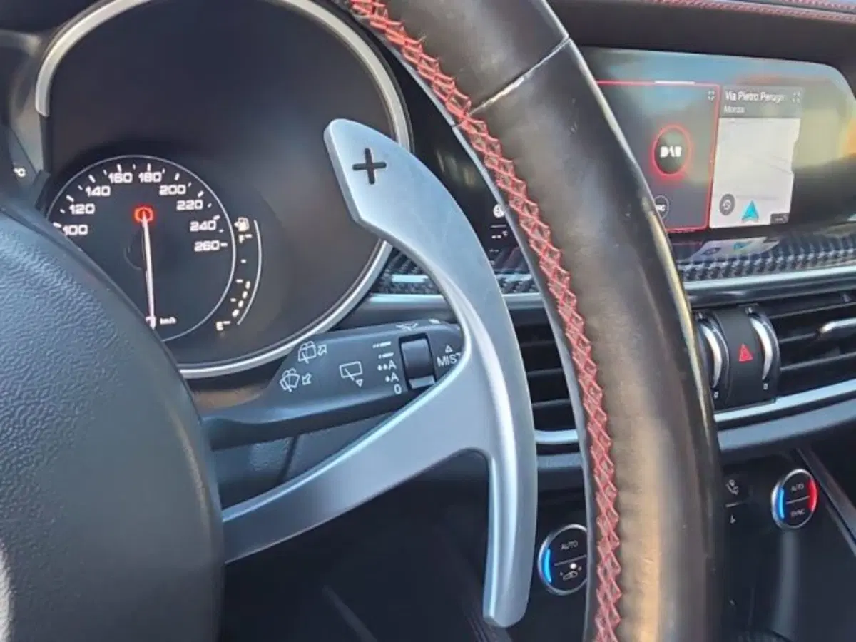Alfa Romeo Stelvio usata a Monza e Brianza (19)