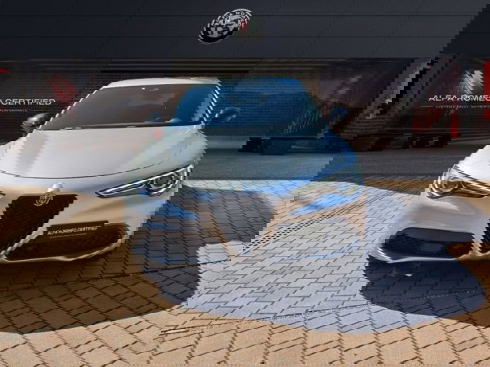 Alfa Romeo Stelvio usata a Monza e Brianza (2)