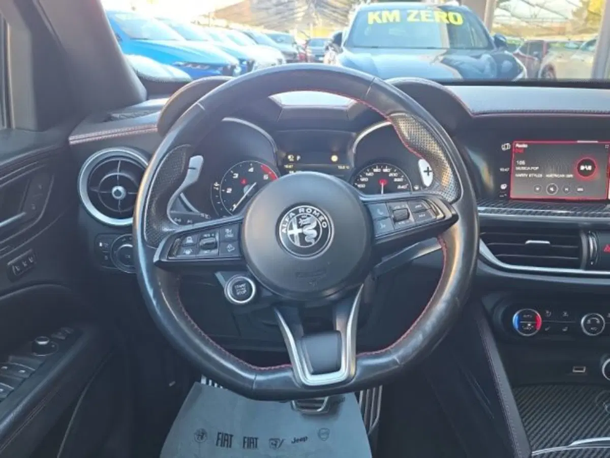 Alfa Romeo Stelvio usata a Monza e Brianza (9)