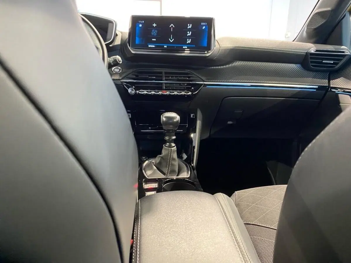 Peugeot 208 usata a Torino (11)