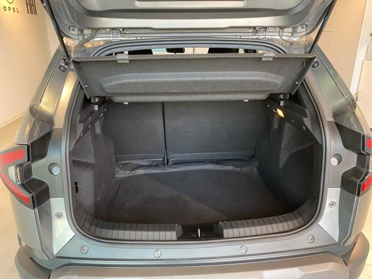Dacia Duster Van usata a Torino (9)