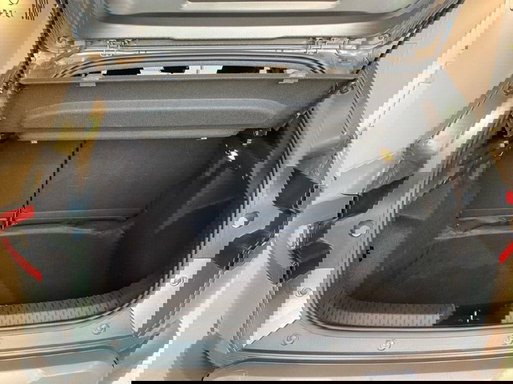 Dacia Duster Van usata a Torino (9)