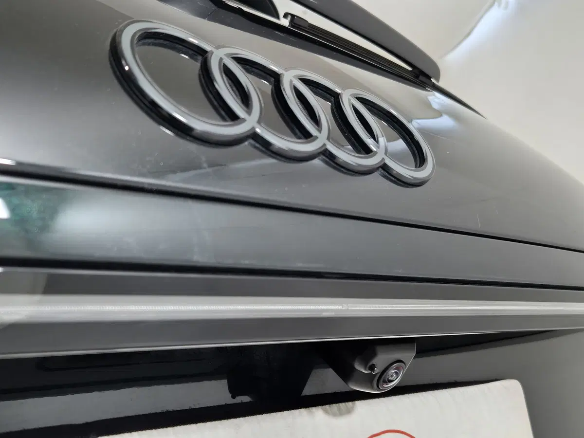 Audi A6 Avant usata a Alessandria (18)
