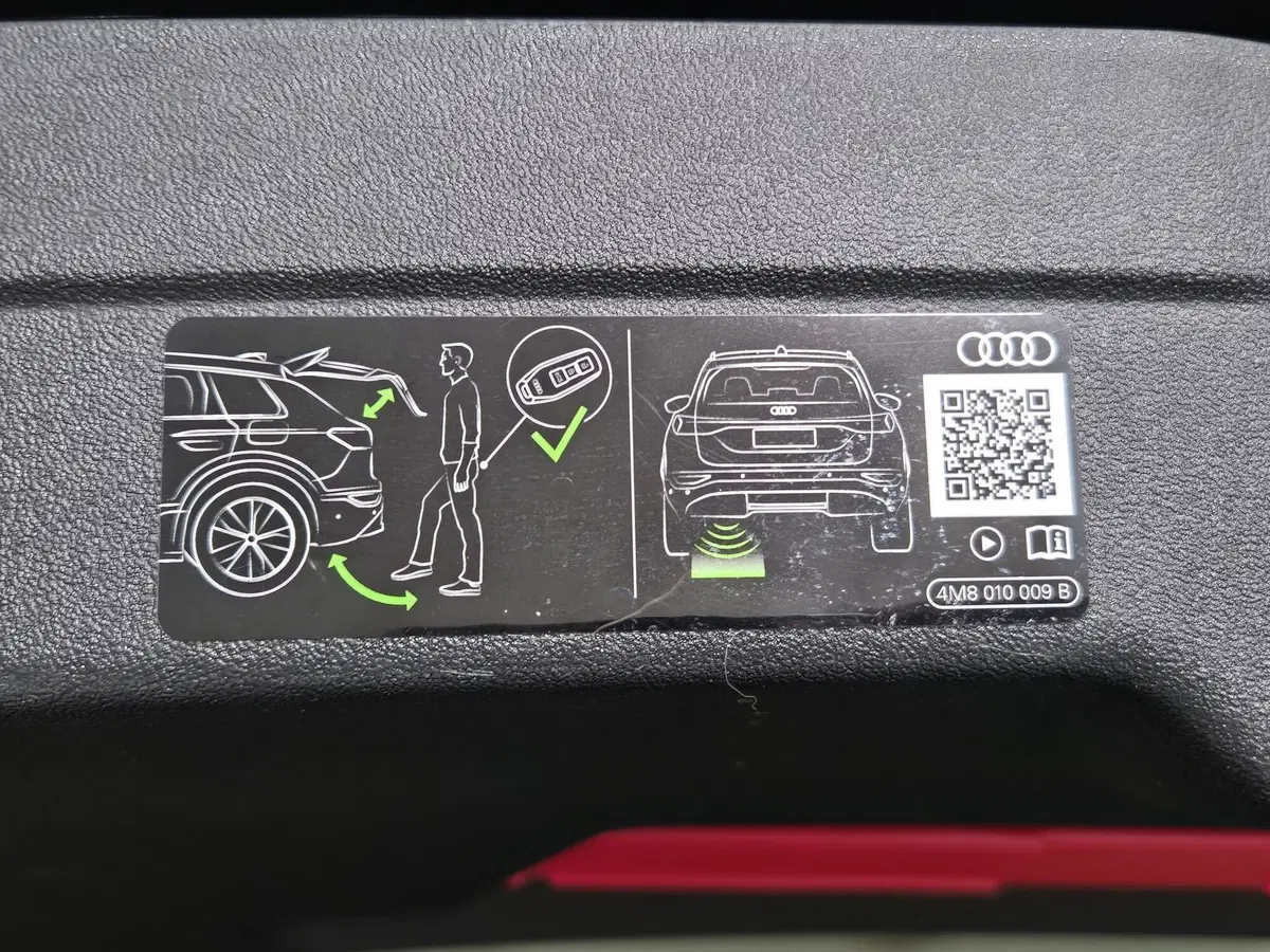 Audi A6 Avant usata a Alessandria (20)