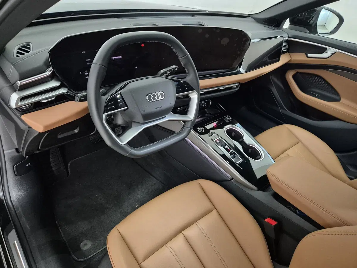 Audi A6 Avant usata a Alessandria (6)