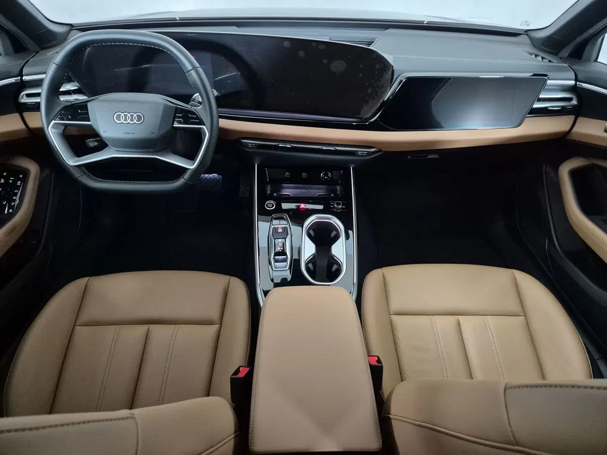 Audi A6 Avant usata a Alessandria (8)