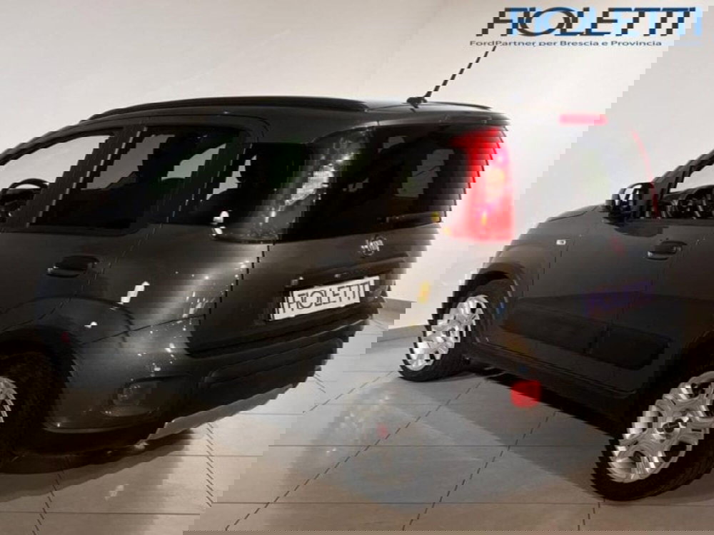 Fiat Panda Cross usata a Brescia (2)