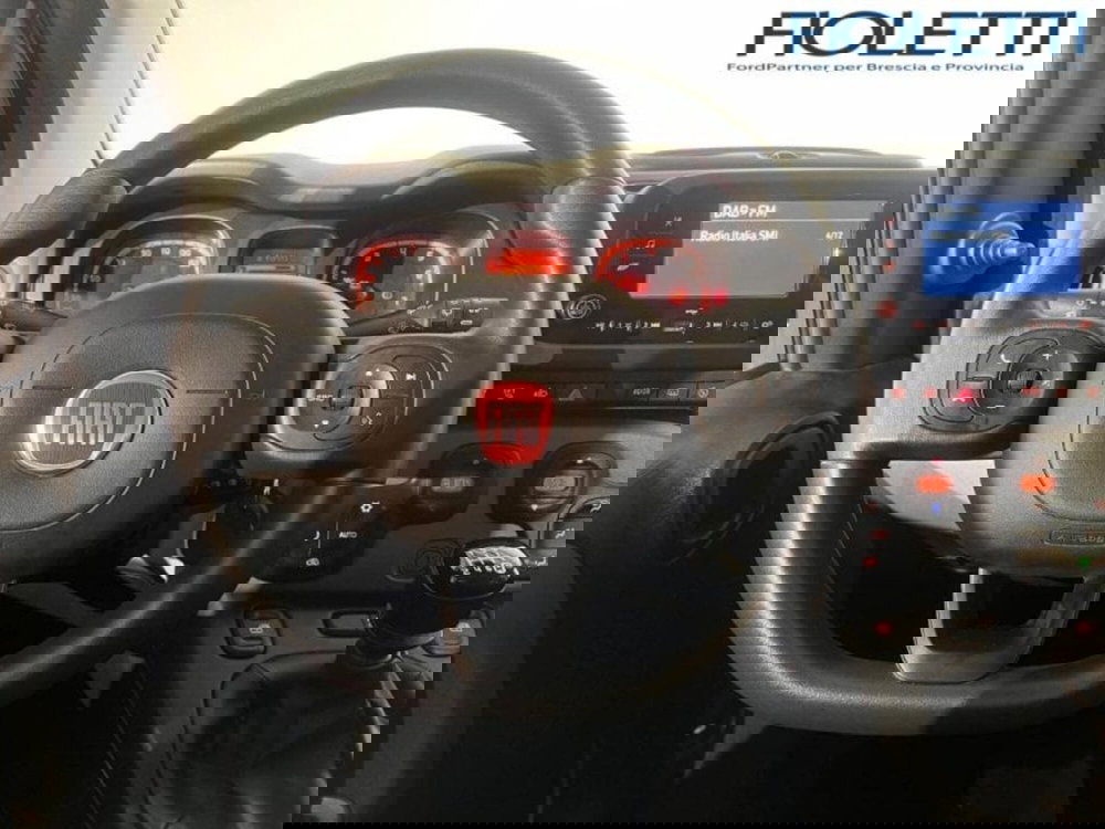 Fiat Panda Cross usata a Brescia (7)