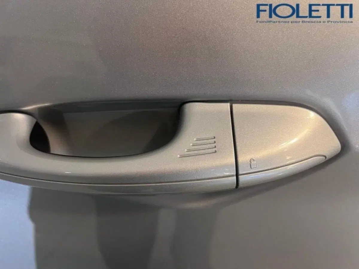 Ford S-Max usata a Brescia (17)