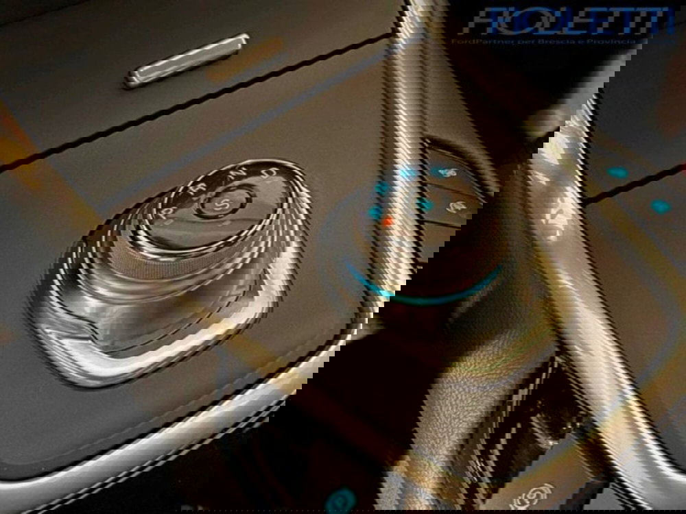 Ford S-Max usata a Brescia (9)