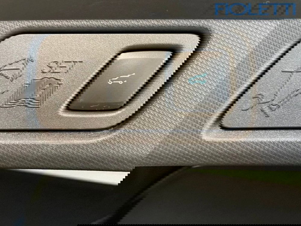 Ford Mustang Mach-E usata a Brescia (17)