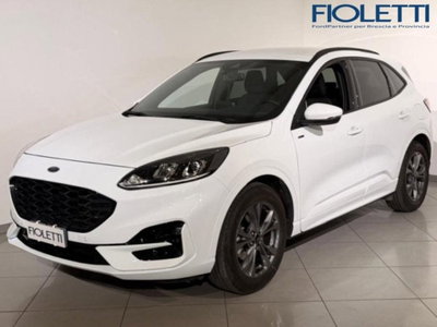 Ford Kuga 2.5 Full Hybrid 190 CV CVT 2WD ST-Line X del 2023 usata a Concesio