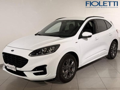 Ford Kuga 1.5 EcoBlue 120 CV aut. 2WD ST-Line X Design del 2022 usata a Concesio