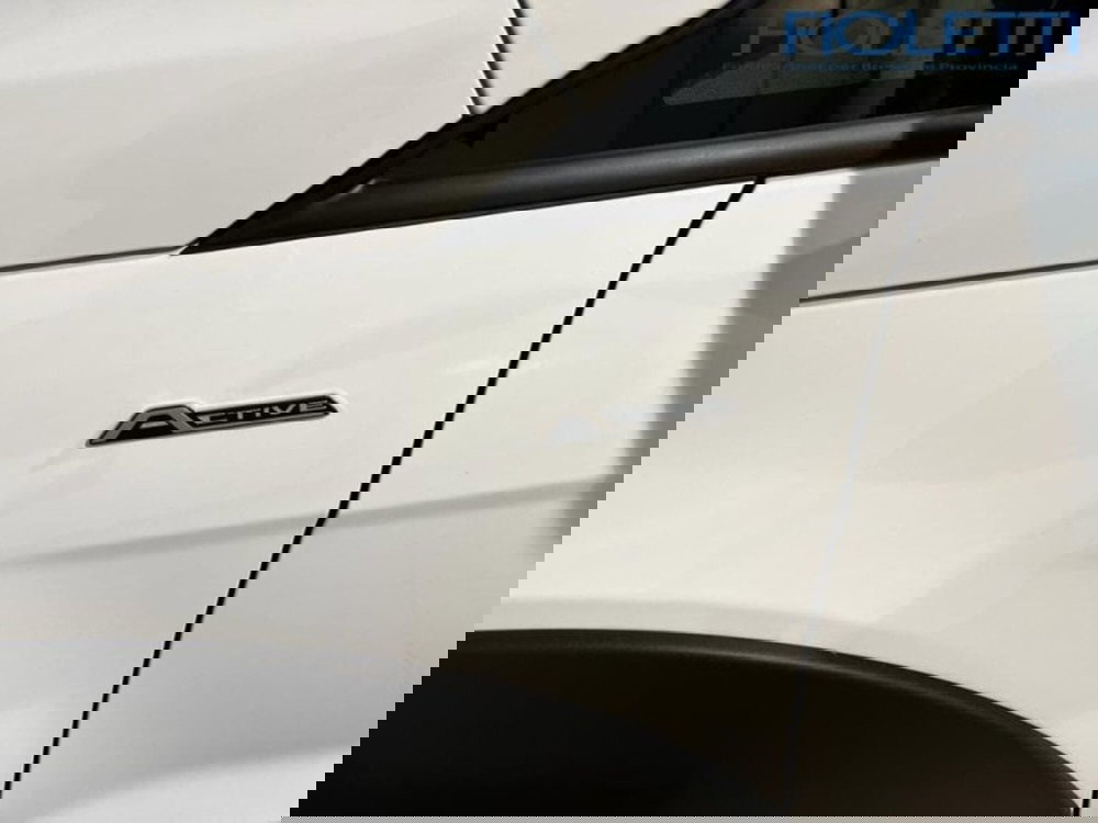 Ford EcoSport usata a Brescia (10)