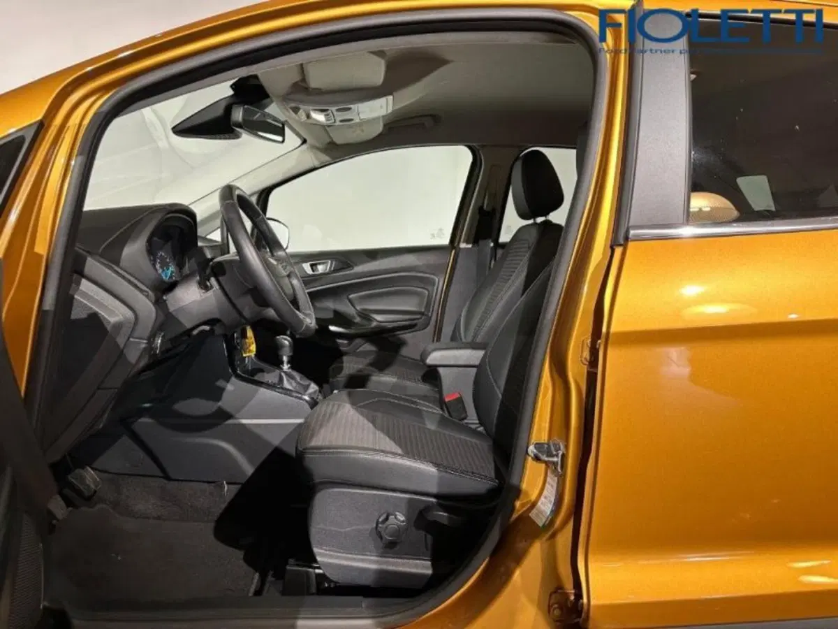 Ford EcoSport usata a Brescia (8)
