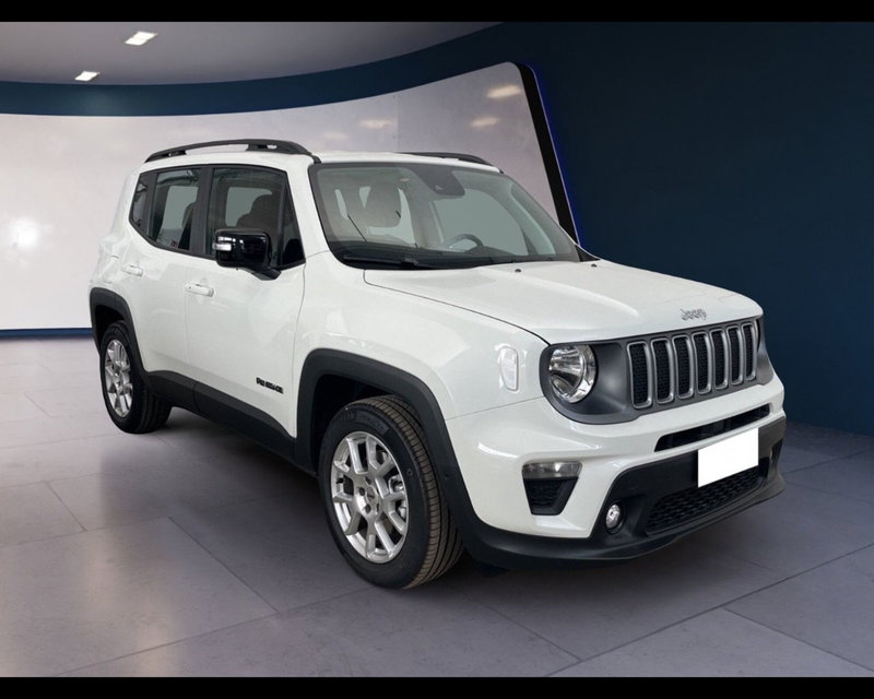 Jeep Renegade usata a Torino (2)
