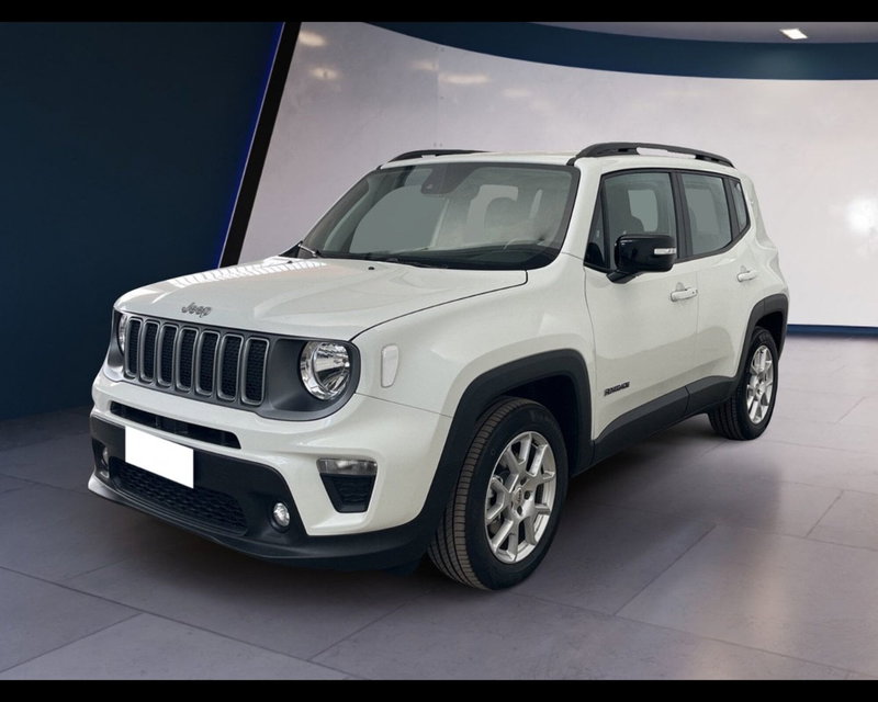 Jeep Renegade usata a Torino (3)