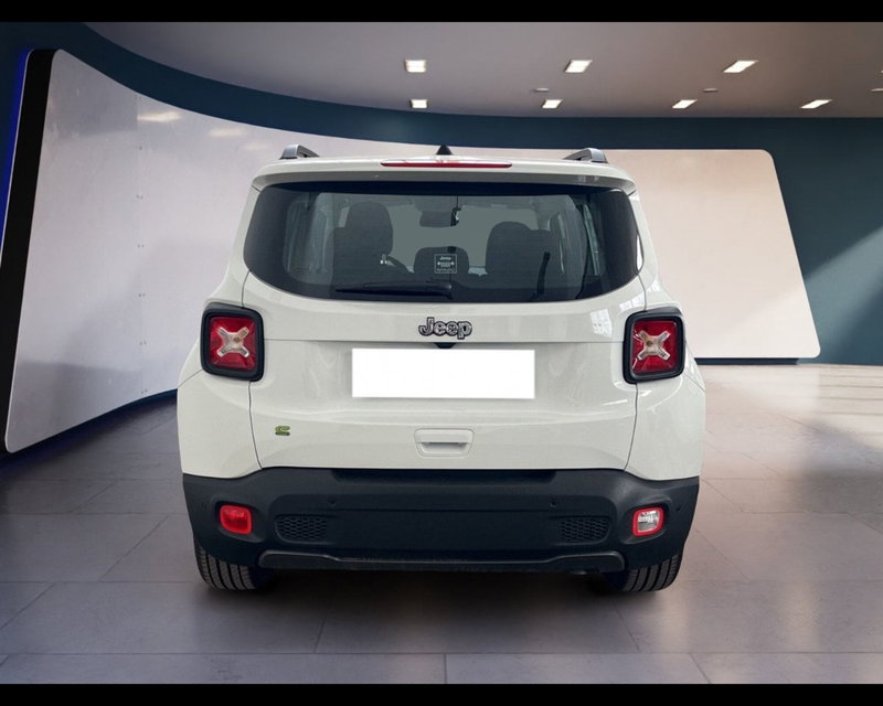 Jeep Renegade usata a Torino (6)