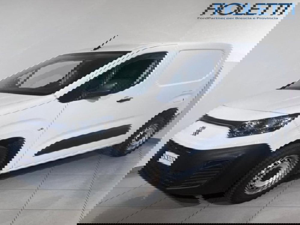 Fiat Doblò Furgone usata a Brescia