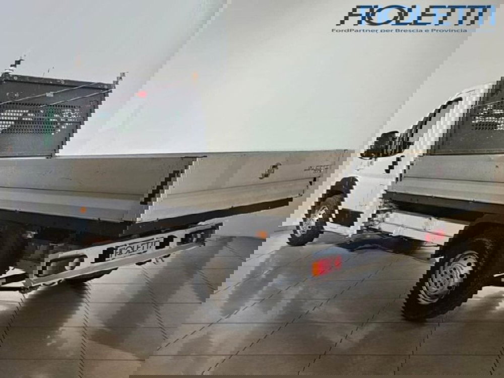 Fiat Ducato Cabinato Cabinato usata a Brescia (2)