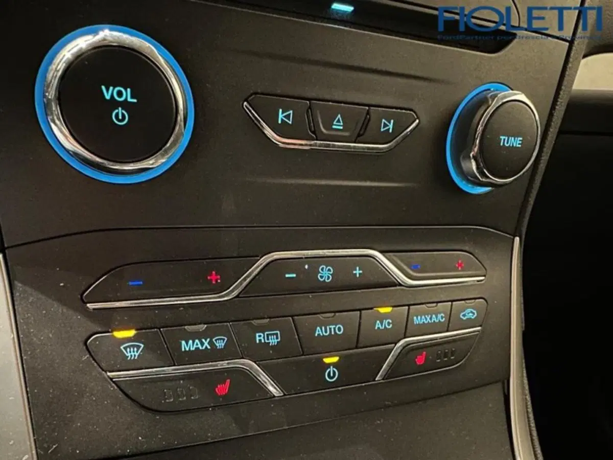 Ford S-Max usata a Brescia (15)