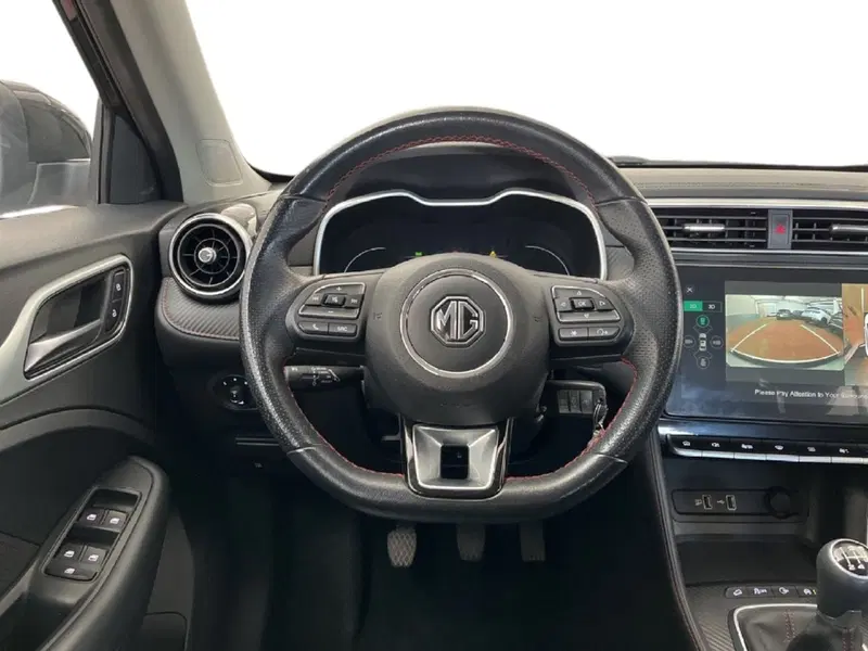 Mg ZS usata a Torino (11)