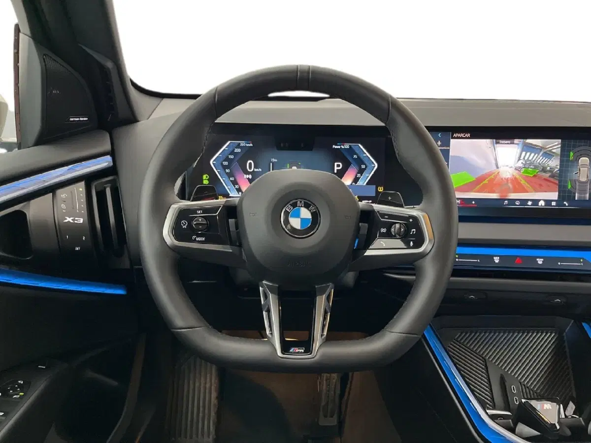 BMW X3 usata a Torino (13)