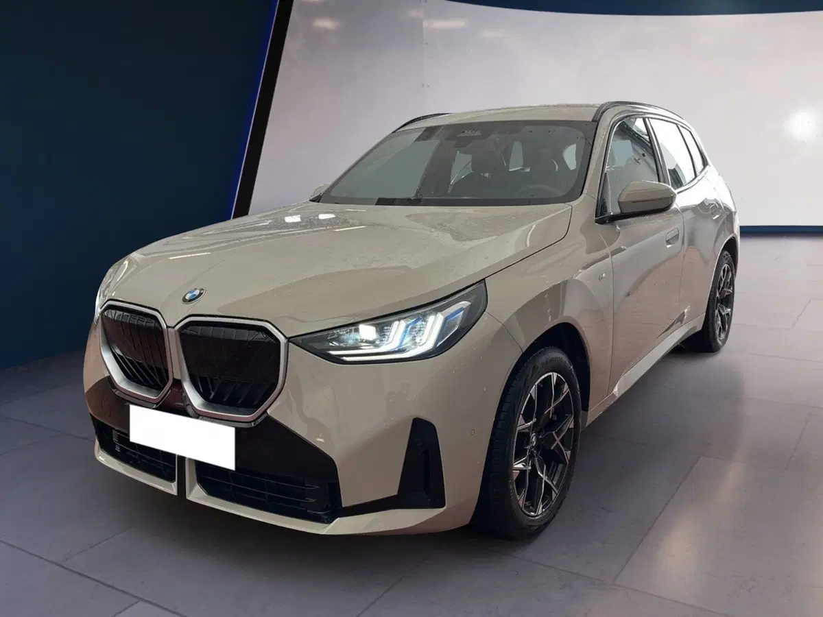BMW X3 usata a Torino (2)